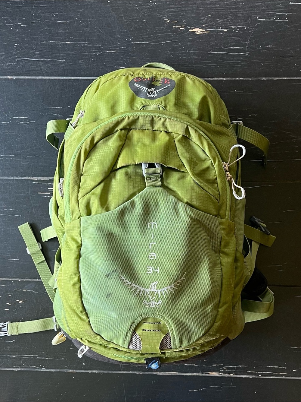 OSPREY Green Backpack